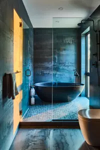 vs-bathroom.webp